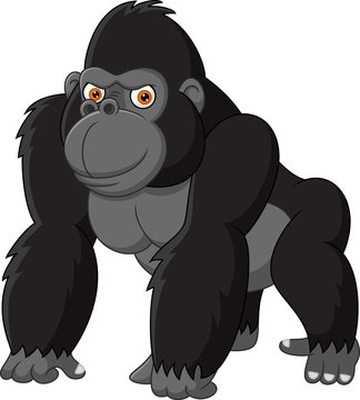 Funny gorilla isolated on white background