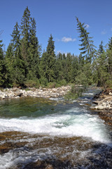 Bialka mountain river in the Polish Tatras