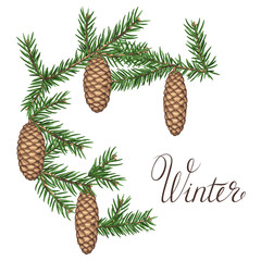 Wreath with fir branches and cones. Detailed vintage illustration