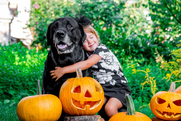 Halloween. Child dressed in black near labrador between jack-o-lantern decoration, trick or treat....