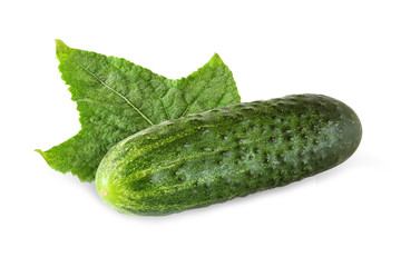 whole cucumber with leaf isolated on white background with clipp