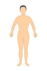 Isolated naked man. Mockup man without face and genitals. Concept of mannequin for biology, science or fashion.