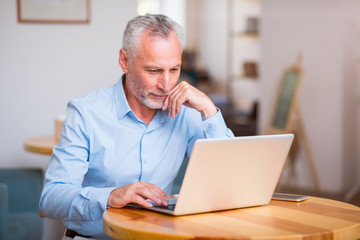 Pleasant senior man using laptop