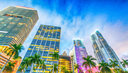 Downtown Miami at sunset, Florida - obrazy, fototapety, plakaty