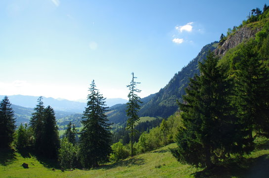 Passausblick im Sommer