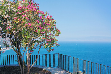 Fototapeta na wymiar Beautiful landscape of Mediterranean sea from a terrace in of Taormina Italy