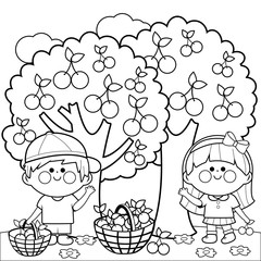 Children picking cherries under a cherry tree. Vector black and white coloring page.