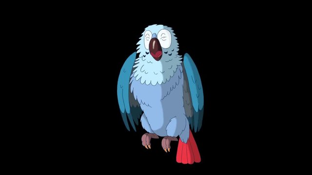 Blue Parrot Gets Angry. Animated footage with alpha channel. Looped motion graphic.