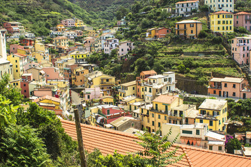 Fototapeta premium the pastel town of Riomaggiore, seen from above 