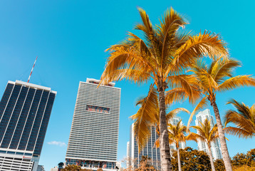 Fototapeta na wymiar MIAMI - FEBRUARY 25, 2016: Beautiful city skyline. Miami hit rec