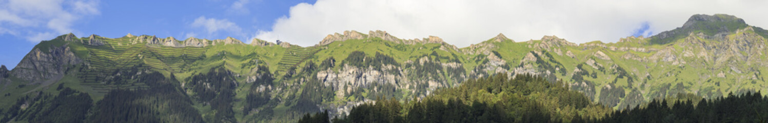 Manlichen panoramic view