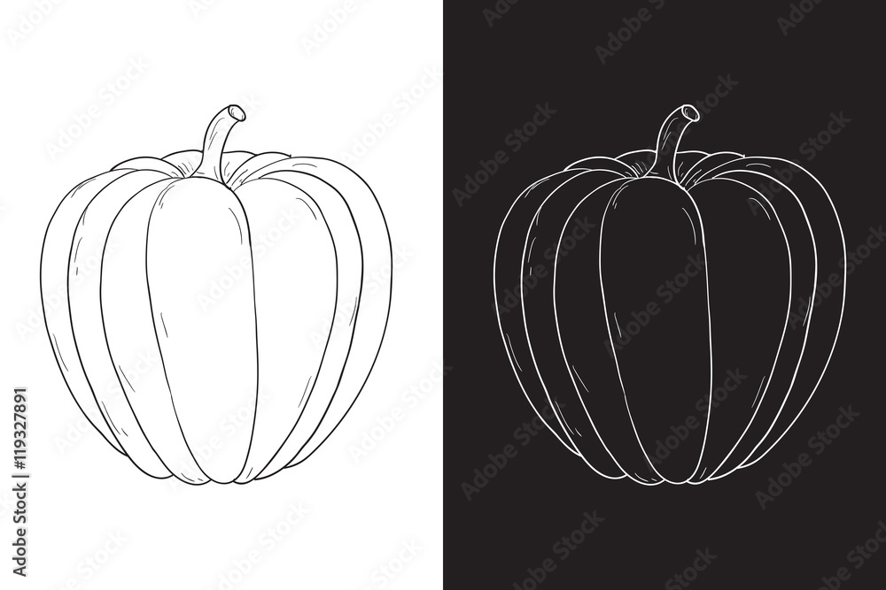 Wall mural pumpkin. hand drawing sketch