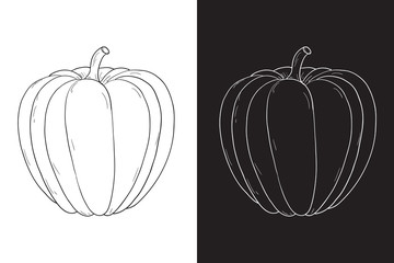 Pumpkin. Hand drawing sketch