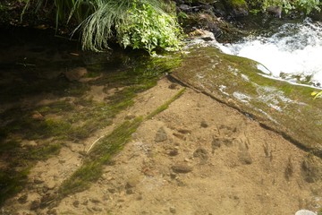 Gallery Yufuin no Mori Japan