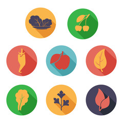Fototapeta na wymiar Leaves, fruit and vegetables icons. Flat style