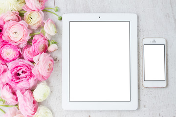 Pink and white ranunculus flowers