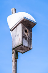 wooden birdhouse