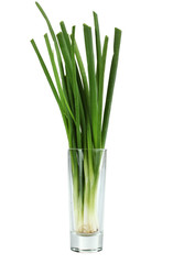 Green onions in a glass on a white isolated background