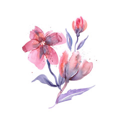 Fototapeta na wymiar Watercolor pink flowers