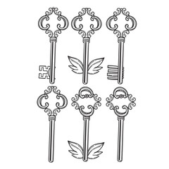 Outline skeleton vintage keys set, old keys in the Baroque style. vector vintage icon illustration