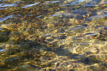 Фон озерной воды с солнечными лучами