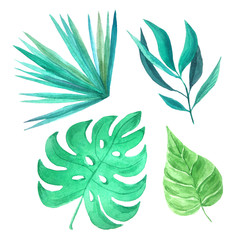 Watercolor green tropical leaves set