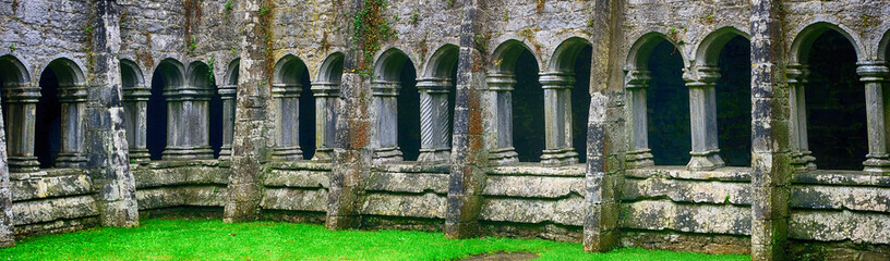 Abbey ruins, Quin, Ireland