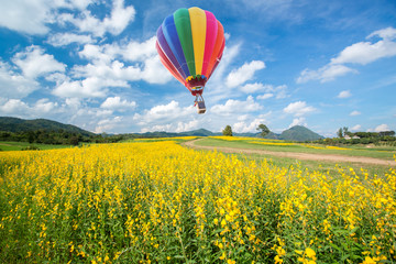 Naklejka premium Hot air balloon over yellow flower fields against blue sky