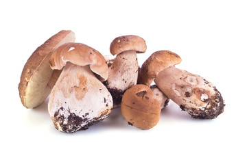 Cep on a white
