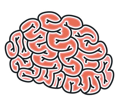 brain storm isolated icon vector illustration design