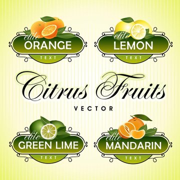 Citrus Fruits. Orange, lemon, green lime, mandarin
