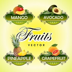 Fruits. Vector. Mango, avocado, pineapple, grapefruit