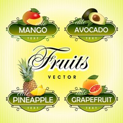 Fruits. Vector. Mango, avocado, pineapple, grapefruit