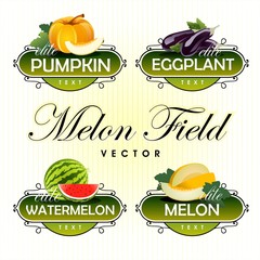 Melon, watermelon, pumpkin, eggplant. Vector