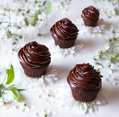Delicious chocolate cupcakes with butter cream on a background of milk and flowers. Homemade pastries from organic natural products.