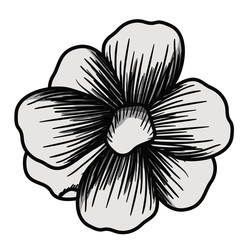beautiful flower drawing isolated vector illustration design