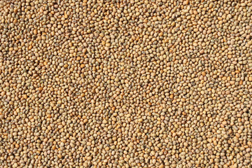 Background image nasynannogo pea mash which is widely used in Ea