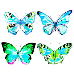 butterfly,watercolor, isolated on a white