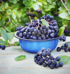 berries chokeberry in a metal bowl