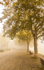 Promenade, foggy day