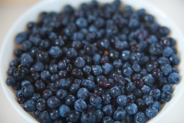 blueberries on a white background summer