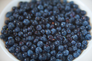 blueberries on a white background summer
