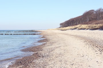 Beach of Darss peninsula (Mecklenburg-Vorpommern)