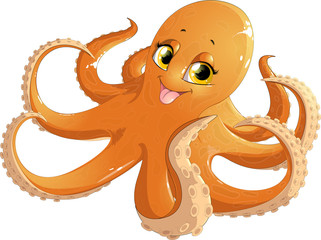 beautiful orange octopus