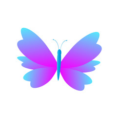 butterfly