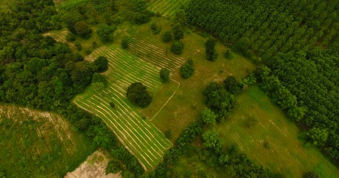 Aerial shot of agriculture and farm land