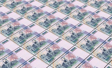 Obraz premium Tanzanian shilling bills stacks background. 3D illustration.