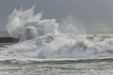 Big sea waves splash