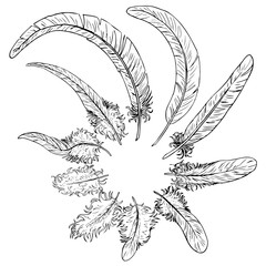 Set black contour feathers on white