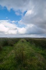 Obraz premium Feldweg, Isle of Skye, Schottland